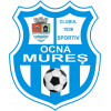 Ocna Mures