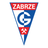 Gornik Z.