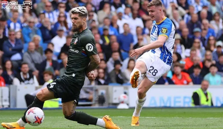 Brighton - Southampton <br>Premier League <br>29 Noiembrie 2024